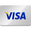 Visa credit card logo